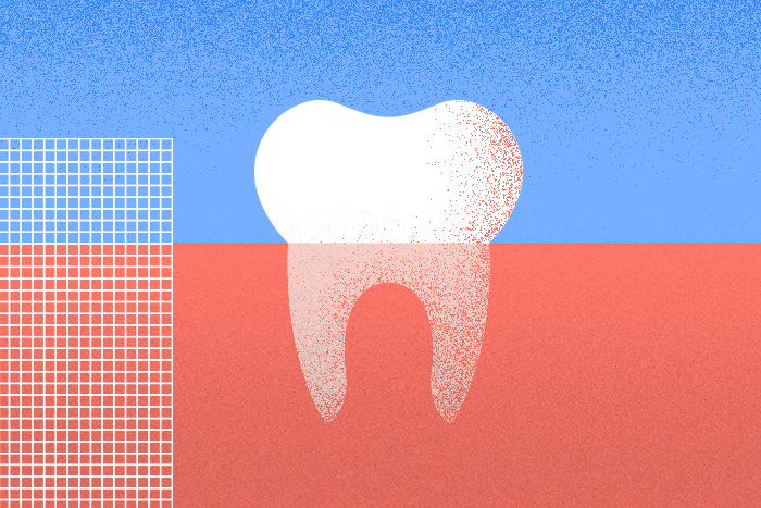 tooth in gums